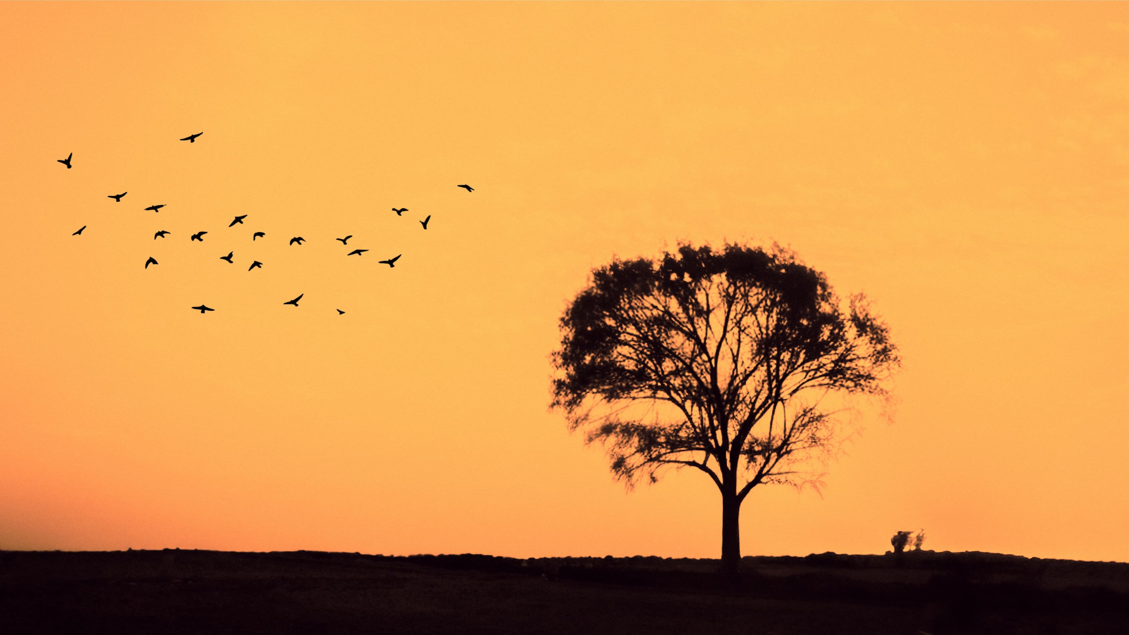 Tree & Birds